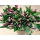 ALSTROEMERIA NAC EX FUCSIA