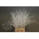 BERK BLANCO 60 CM 