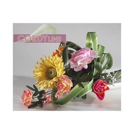 CINTA CORDYLINE NILO 2 CM X 100 MT