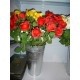 CUBO ZIC 37 x 22 cm conical