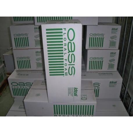 OASIS IDEAL MAXILIFE