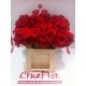 GERBERA ROJA EX