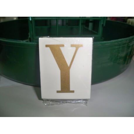 LETRA ( Y ) X 25 UND