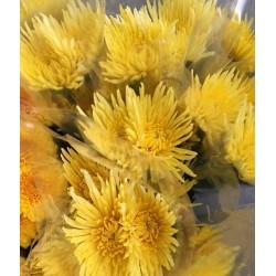 MARGARITA NACIONAL DELISTAR AMARILLO