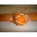 MINIFIOCO SALMON 15 MM X 50 PZ