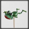 RANA NADADORA 10 X 8 X 50 CM X 12 UND