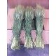 TRITICUM AESTIVUM 60 CM POMO (+50 TALLOS) 