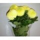 SANTOS-MARGARITA UNIFLOR PIMPOM AMARILLO
