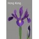SANTOS-IRIS AZUL HOL