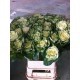 SANTOS-BRASSICA BLANCA W. CRANE