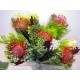 SANTOS-BOUQUET PROTEA MIXTA