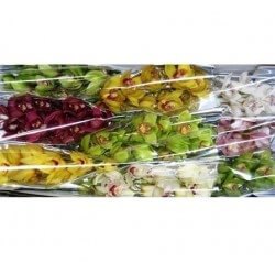 SANTOS-MINI CYMBIDIUM MIXTO 60 CM X10