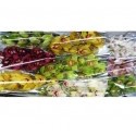 SANTOS-MINI CYMBIDIUM MIXTO 60 CM X10