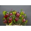 SANTOS-BOUQUET PROTEA MIXTA