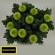 SANTOS-MARGARITA UNIFLOR PIMPOM VERDE