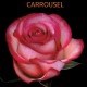 SANTOS-ROSA ECU BICOLOR CARROUSEL 50 CM X25