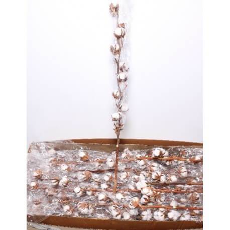 ALGODON 90 CM CM (9 BOLAS)
