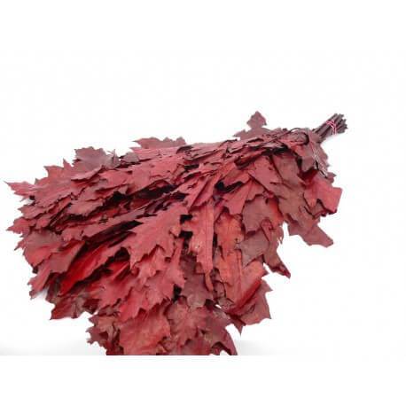 HOJA DE ROBLE PRESERVADA RUBRA 80 CM X20