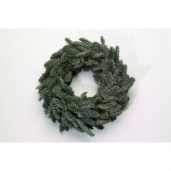 CORONA DE NOBILIS 30