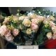 LISIANTHUS DOBLE SALMON 