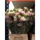 LISIANTHUS DOBLE SALMON 