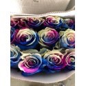 SANTOS-ROSA ECU ARCOIRIS AZUL 60 CM X25