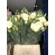 SANTOS-LISIANTHUS DOBLE CREMA