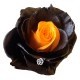 SANTOS-ROSA ECU ARCOIRIS HALLOWEEN 60 CM X25 