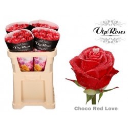 VAL-ROSAL HOL CHOCO RED LOVE x 10 tallos