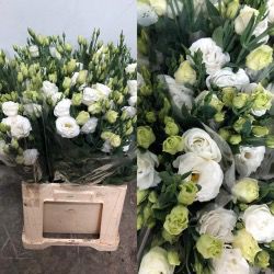 LISIANTHUS DOBLE BLANCO