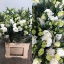 LISIANTHUS DOBLE BLANCO