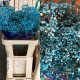 PANICULATA PINTADA AZUL 750 GR