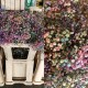PANICULATA PINTADA RAINBOW 750 GR
