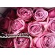 SANTOS-ROSA ECU MORADA COOL WATER 50 CM X25