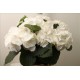 SANTOS-HORTENSIA BLANCA
