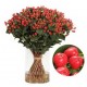 SANTOS-HYPERICUM ROJO 50 CM X 25 tallos