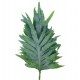 SANTOS-HELECHO BLUE STAR SUPER