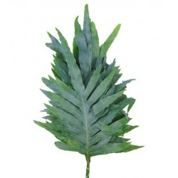 SANTOS-HELECHO BLUE STAR SUPER