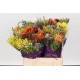 SANTOS-EXOTEN SAFARI BOUQUET 