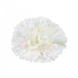 CLAVEL NACIONAL BLANCO 1ª