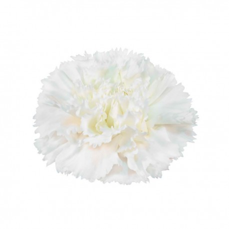 CLAVEL NACIONAL BLANCO 1ª