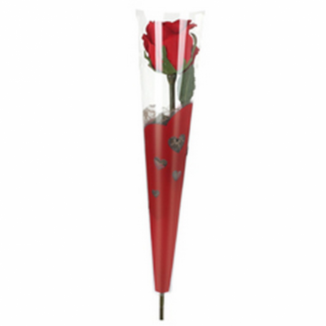 FUNDA 1 ROSA ROJA 50 UND