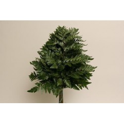 HELECHO DE CUERO NACIONAL EXTRA