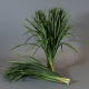 T-GRASS SUP 90 CM