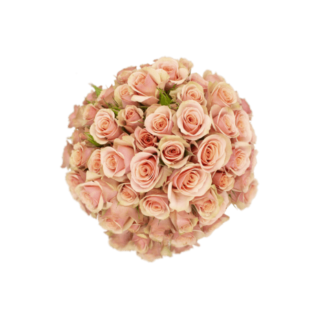 ROSA ECU RAMIFICADA ROSA CLARO 50 CM