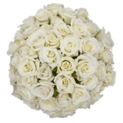 ROSA ECU RAMIFICADA BLANCA 50 CM