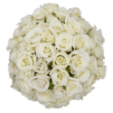 ROSA ECU RAMIFICADA BLANCA 50 CM