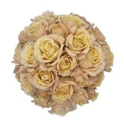 ROSA ECU RAMIFICADA SAHARA SENSATION 50 CM