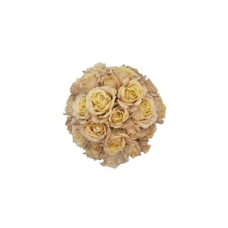 ROSA ECU RAMIFICADA SAHARA SENSATION 50 CM