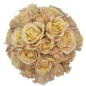 ROSA ECU RAMIFICADA CREMA 50 CM